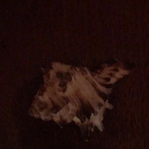 Meet your Posher, Bobbie